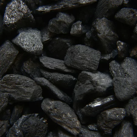 A quoi peut servir le charbon actif ?