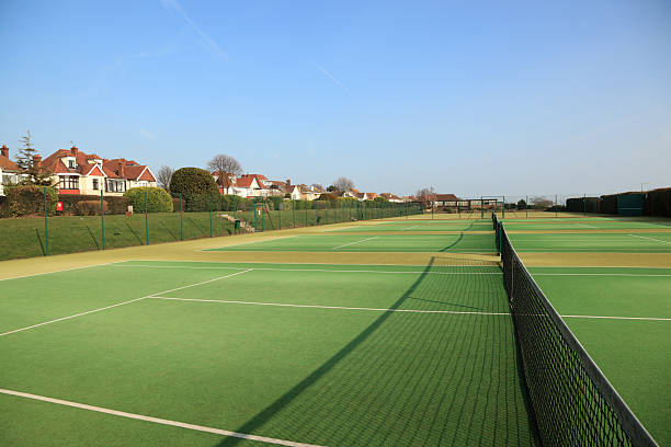 Nice offre un environnement propice à la construction de courts de tennis en gazon synthétique. Les variétés de gazon synthétique