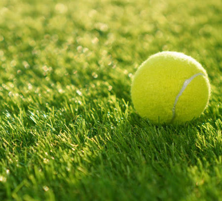 Planifier l’entretien saisonnier des terrains de tennis à Nice dans les Alpes Maritimes pour les centres communautaires