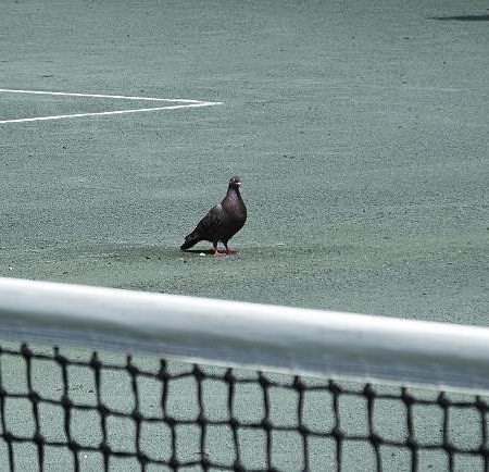 Comment anticiper l’entretien futur lors de la construction d’un terrain de tennis en béton poreux à Cannes