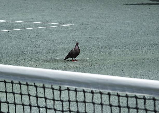 Construction d'un terrain de tennis en béton poreux à Cannes