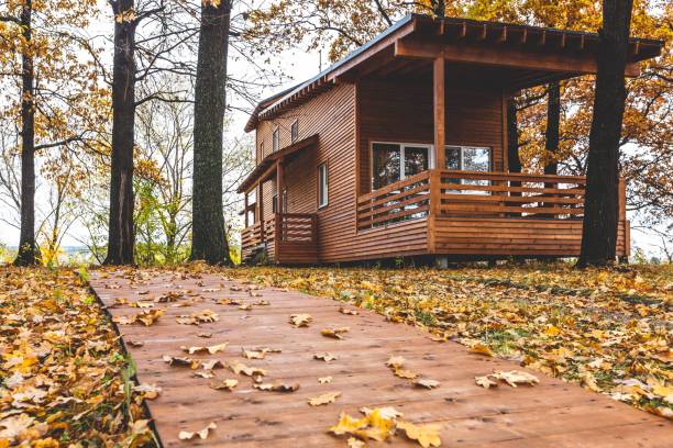 Construction chalet Haute-Savoie
